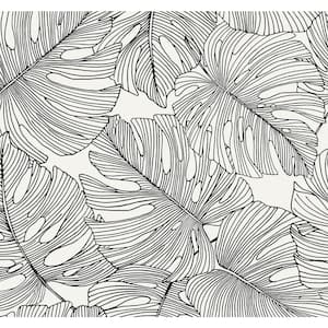 60.75 sq. ft. Contrasto Tarra Monstera Leaf Nonwoven Paper Unpasted Wallpaper Roll