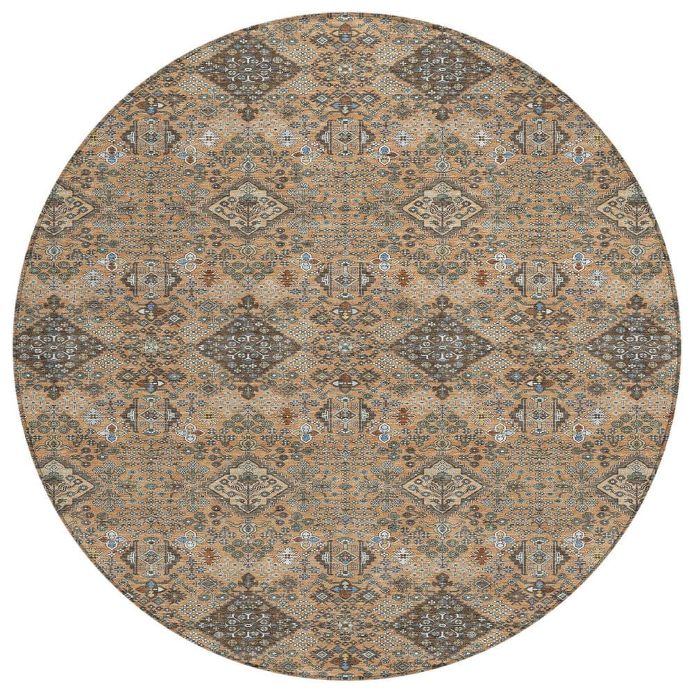 Chantille Machine Washable Indoor/Outdoor Abstract ACN2478 Copper 8 ft. x 8 ft. Round Rug price history on PriceWatchPro