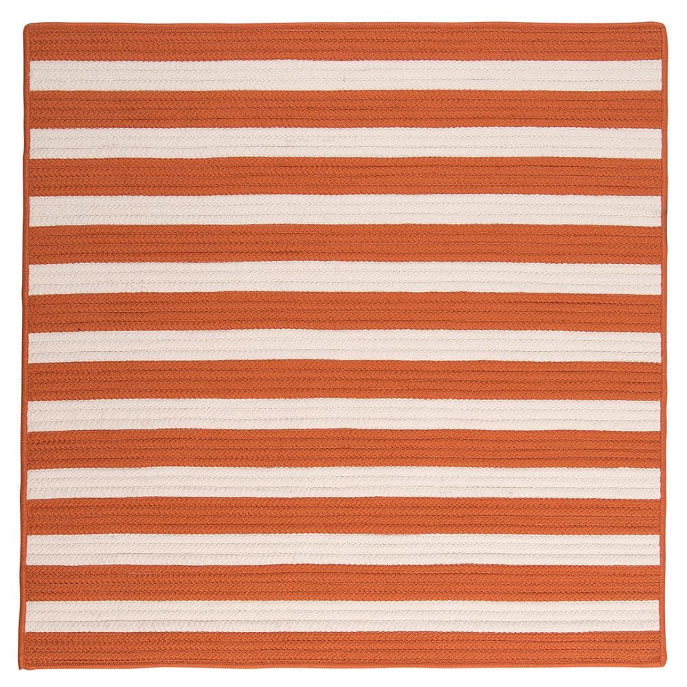 Baxter Tangerine  Doormat 4 ft. x 4 ft. Braided Indoor/Outdoor Patio Area Rug price history on PriceWatchPro