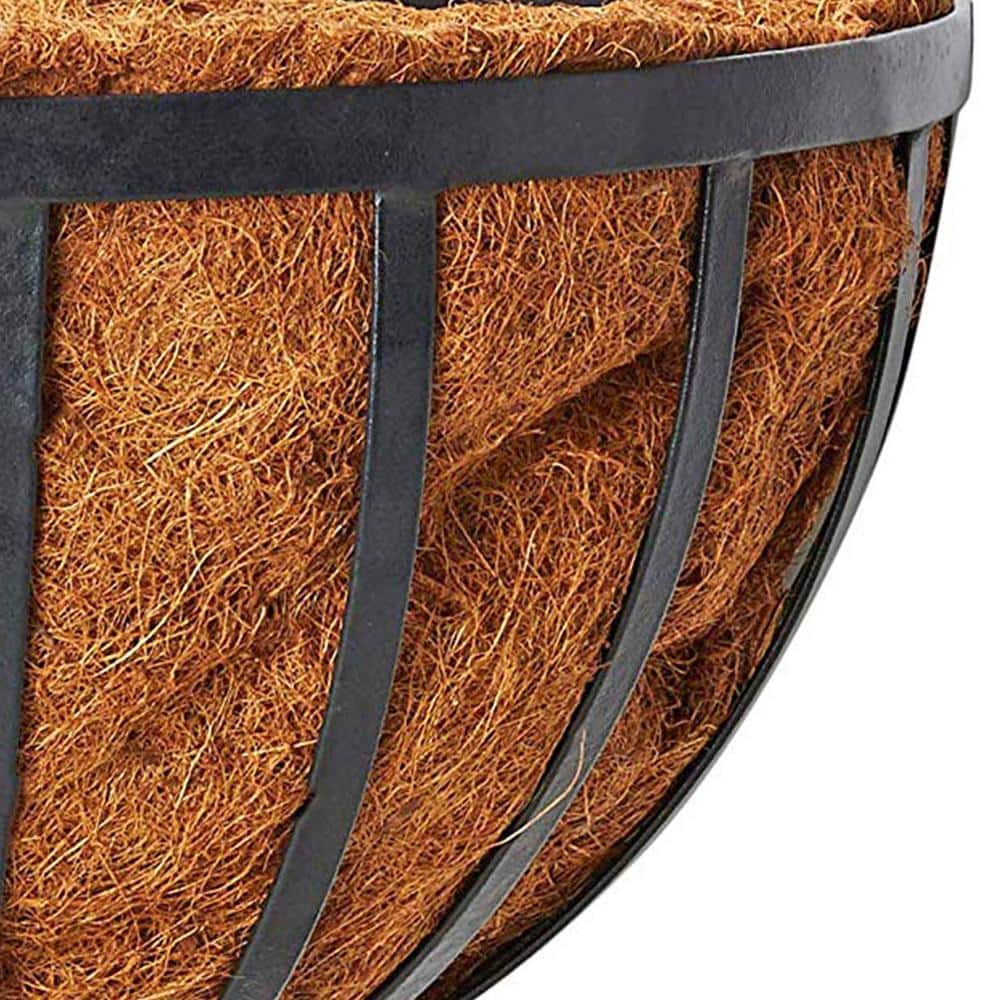 Arcadia Solstice Large Oval Black Metal Wall Planter with Coconut Liner, 20-inch