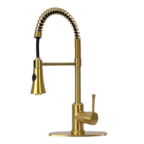 Akicon Single Handle Pull-Down Sprayer Kitchen Faucet Pre-Rinse Spring in Brass Gold