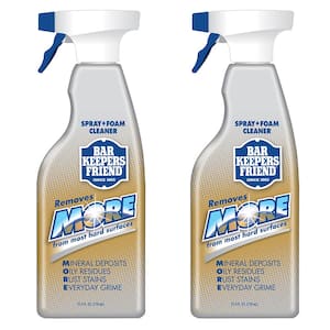 25.4 oz. All-Purpose Cleaner More Spray and Foam (2-Pack)