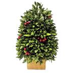 1.5 ft. Unlit Boxwood Berry Artificial Christmas Tree with Wooden Pot