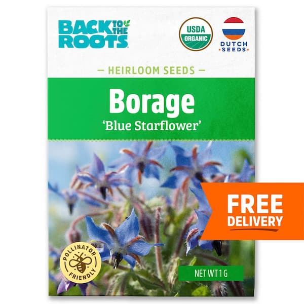 Back to the Roots Organic Borage Blue Starflower Heirloom Seeds
