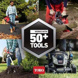 Flex-Force 60V Cordless 2-Tool Combo Kit 21 in. Recycler Walk Behind Lawn Mower & String Trimmer - Charger/6.0Ah Battery