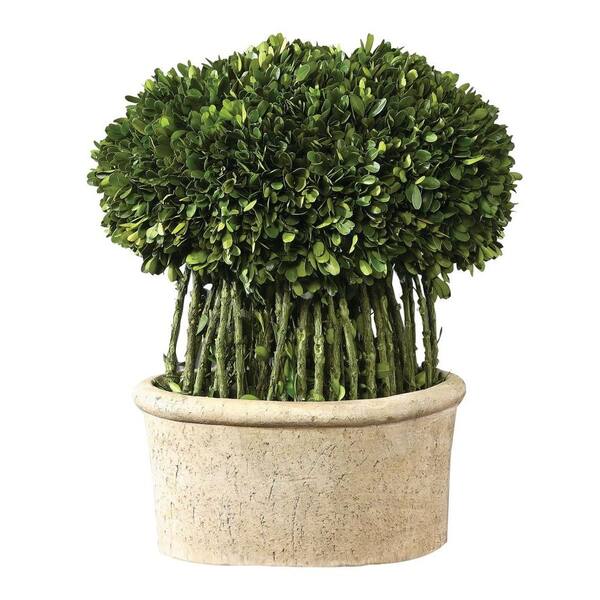 Home Decorators Collection 17 in. Preserved Boxwood Willow Topiary