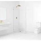 60 in. x 78 in. Frameless Fixed Shower Door in Satin Brass without Handle