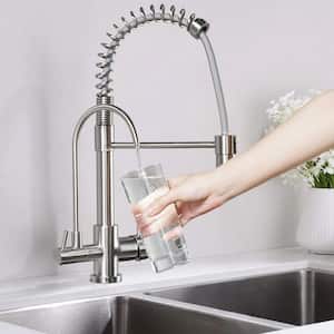 Double Handles Solid Brass Pull Down Sprayer Kitchen Faucet with Drinking Water Filter in Brushed Nickel