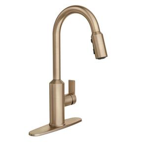 Meena Single-Handle Pull-Down Sprayer Kitchen Faucet with Power Clean and Reflex in Bronzed Gold