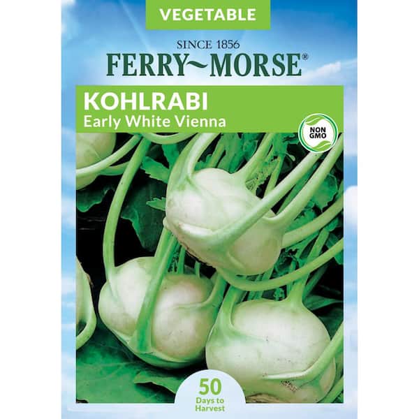 Ferry-Morse Kohlrabi Early White Vienna Vegetable Seed