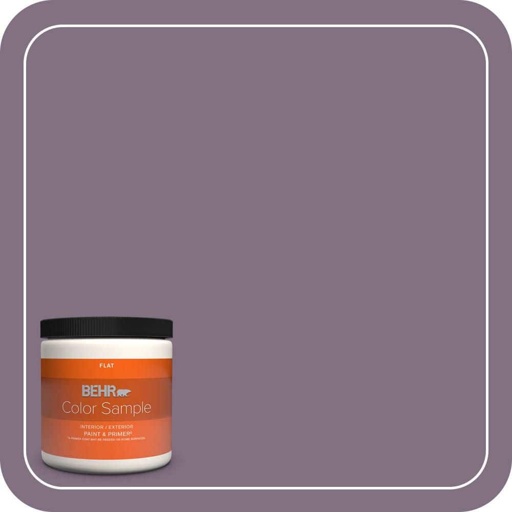 8 oz. Home Decorators Collection #HDC-SP14-9 Decorative Iris Flat Interior/Exterior Paint & Primer Color Sample product image for price tracking