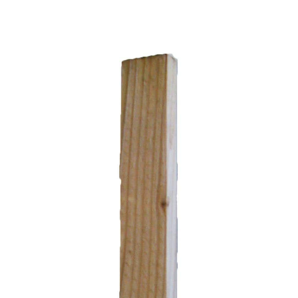 1 In X 2 In X 12 Ft Hi Bor Pressure Treated Board 95303 The Home Depot