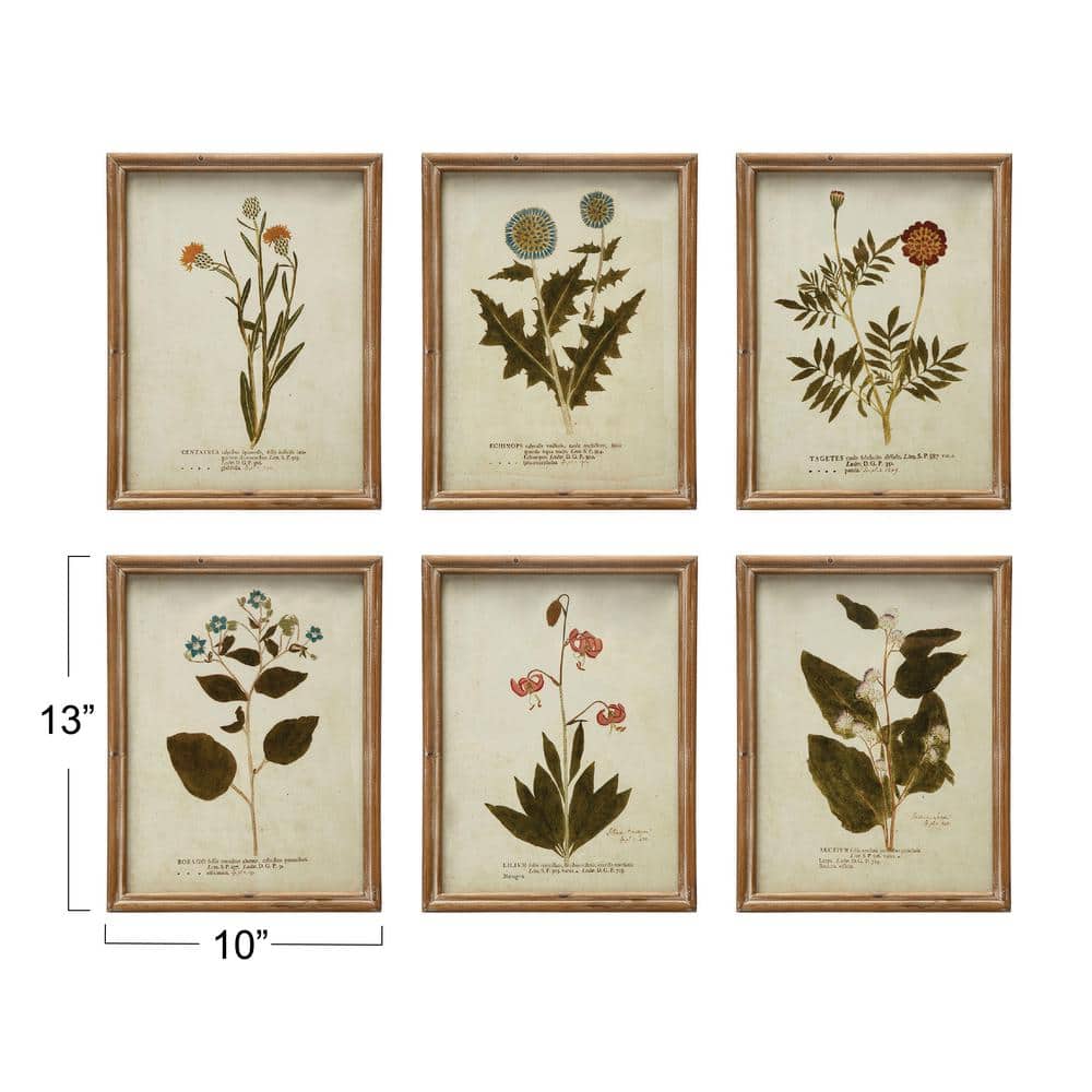 Vintage Botanical Print Set in Wood Frames, 10" x 13"