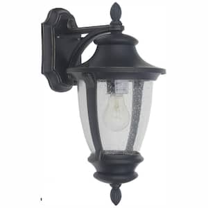 Wilkerson 1-Light Black Outdoor Wall Lantern Sconce