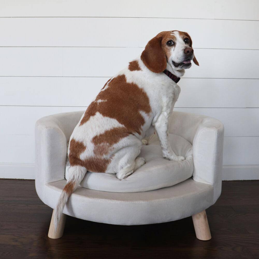 28-Inch White Velvet Elevated Circular Pet Sofa