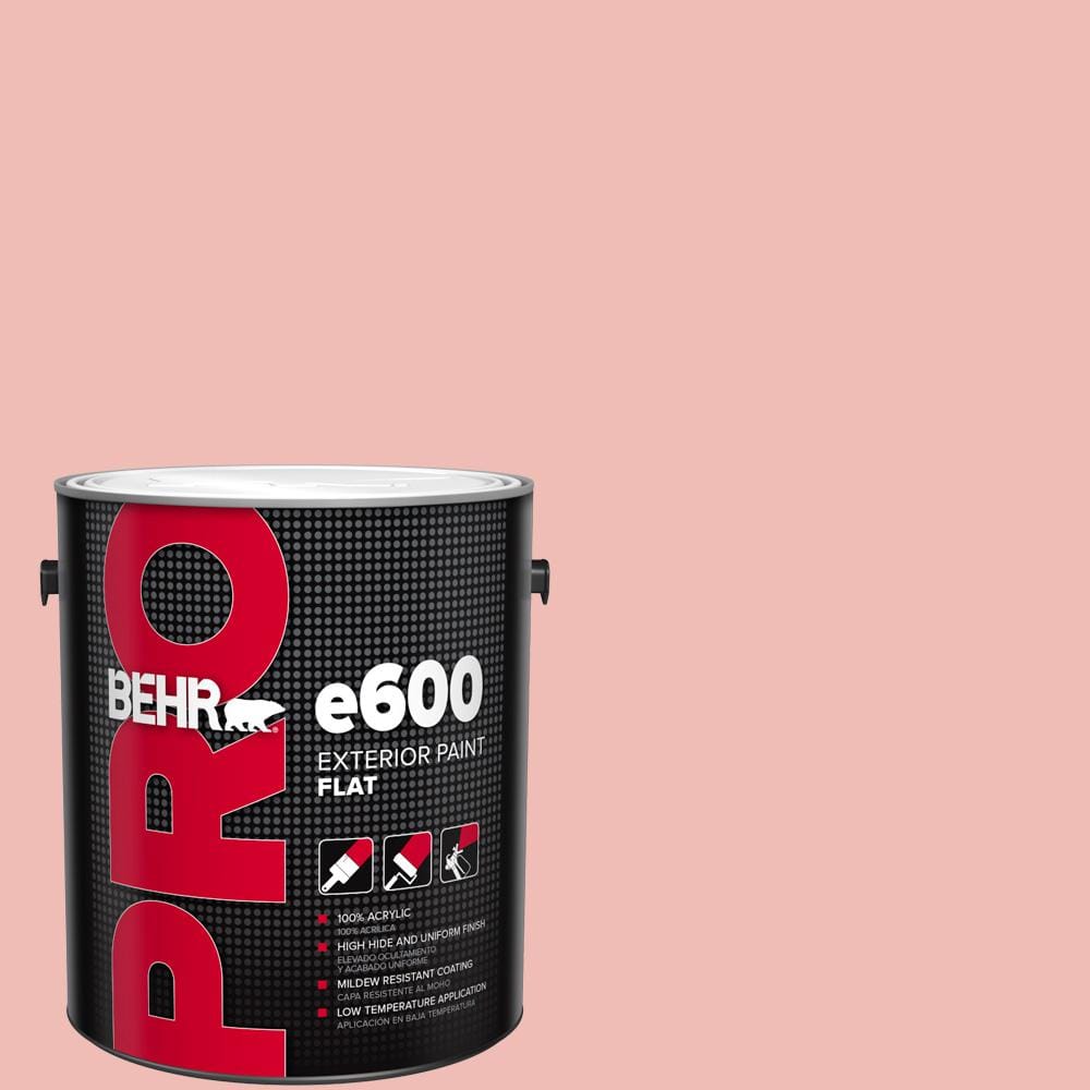 1 gal. #BIC-04 Pink Taffy Flat Exterior Paint price history on PriceWatchPro