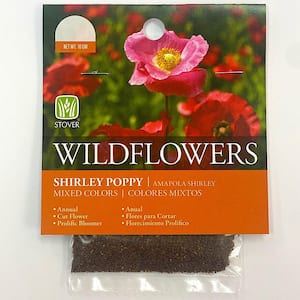 Poppy Shirley Seed