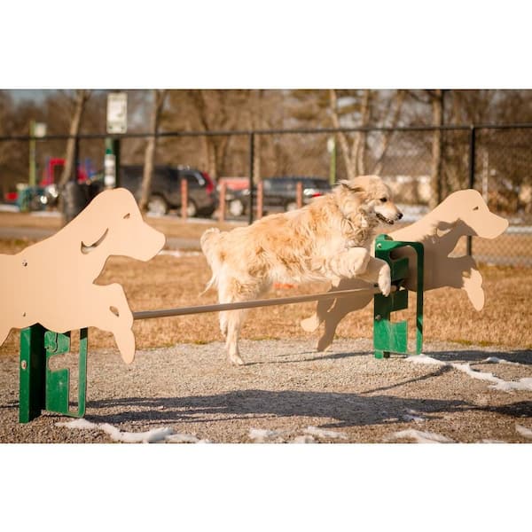 BricQ Motion Lessons - Dog Obstacle Course