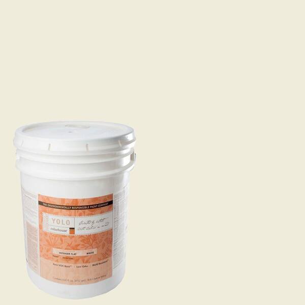 YOLO Colorhouse 5-gal. Imagine .04 Flat Interior Paint-DISCONTINUED