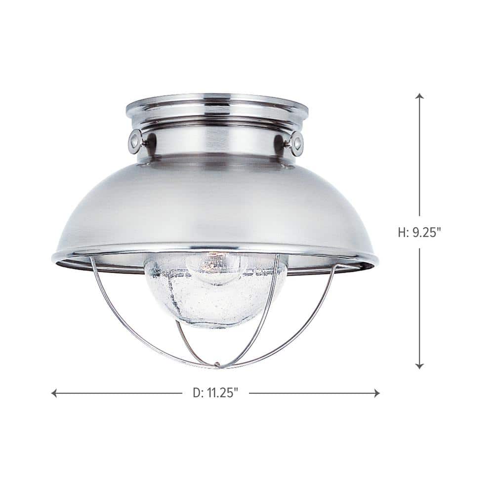 Brushed Stainless and Clear Glass Outdoor Flush Mount Light
