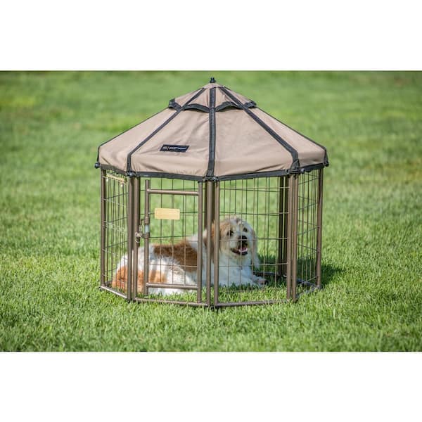 outdoor dog gazebo