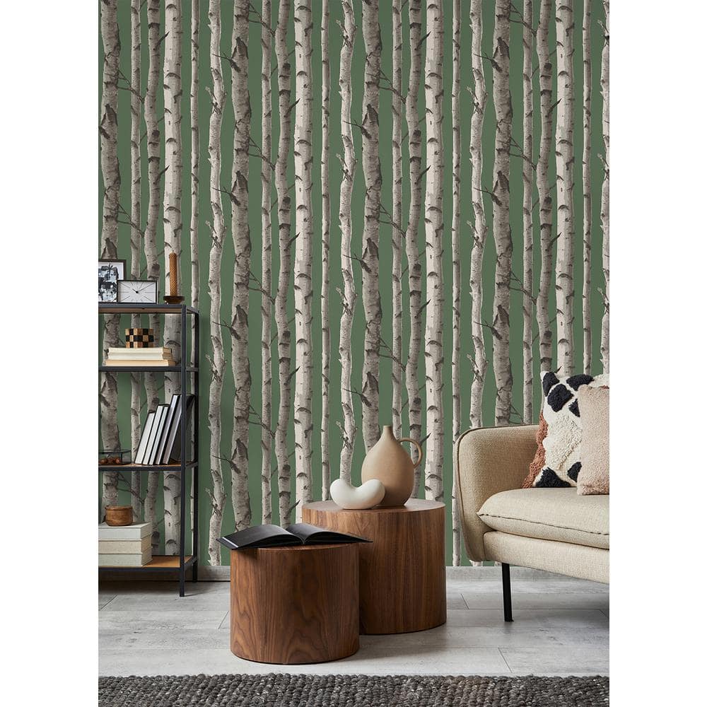 Hunter Green and White Birch Trees Non-pasted Wallpaper Roll