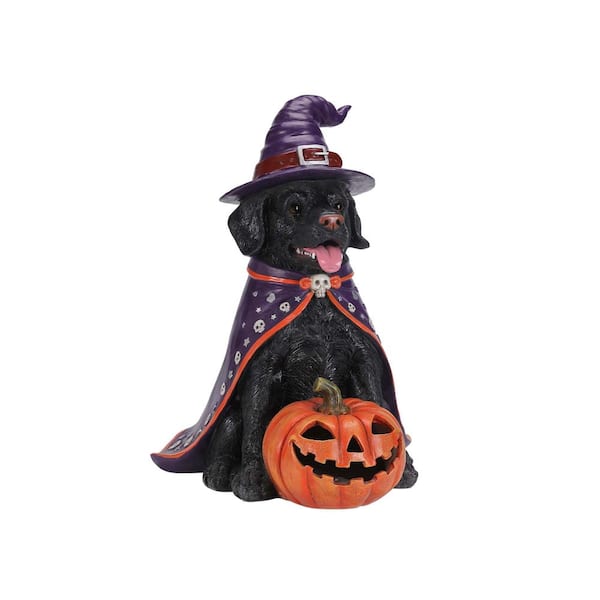 Halloween Black Labrador Retriever Dog Statue, Large Sitting Dog Figurine with Witch Hat & Cape