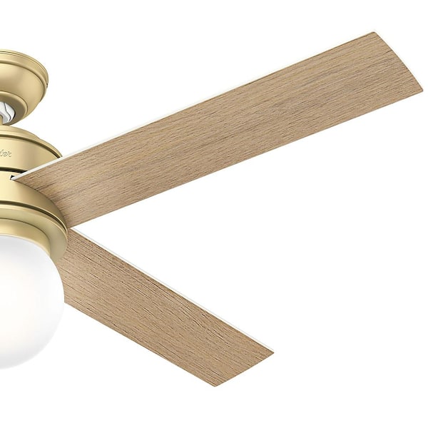 Hunter - Hepburn 52 in. Modern Brass Indoor Ceiling Fan with LED Light Kit and Wall Control