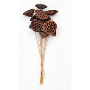 17 in. Large Natural Lotus Stem (Set of 12)