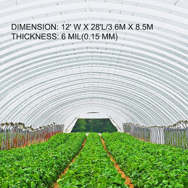 VEVOR 12 ft. x 25 ft. 6 Mil Greenhouse Film UV Resistant Superior