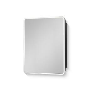 20 in. W x 28 in. H Rectangular Metal Medicine Cabinet with Mirror