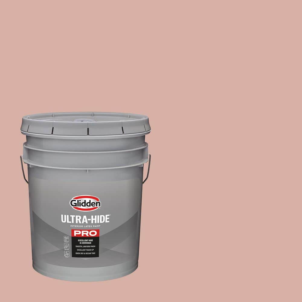 1 gal. PPG1062-4 Sandpaper Eggshell Interior Paint price history on PriceWatchPro