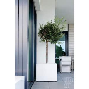 Block Small 12 in. Tall Glossy White Fiberstone Indoor Outdoor Modern Square Planter