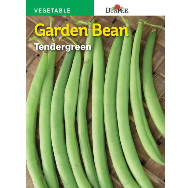 burpee tenderpod bean