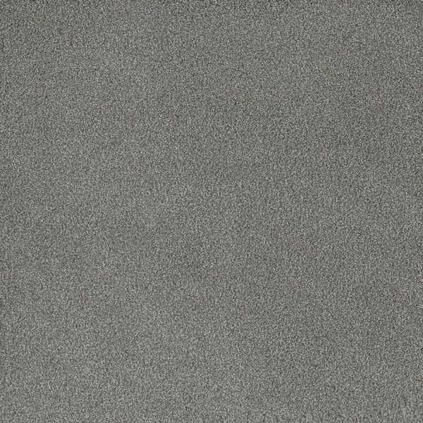 Home Decorators Collection First Class II - Faith - Beige 50 oz. SD Polyester Texture Installed Carpet