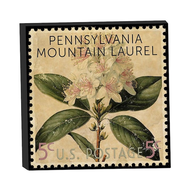 VENICE BEACH Collections Pennsylvania State Flower Mountain Laurel Postage Stamp by Grotto Studios Unframed Graphic Print 20 in. x 20 in.