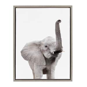 Sylvie "Animal Studio Elephant" by Amy Peterson Framed Canvas Wall Art