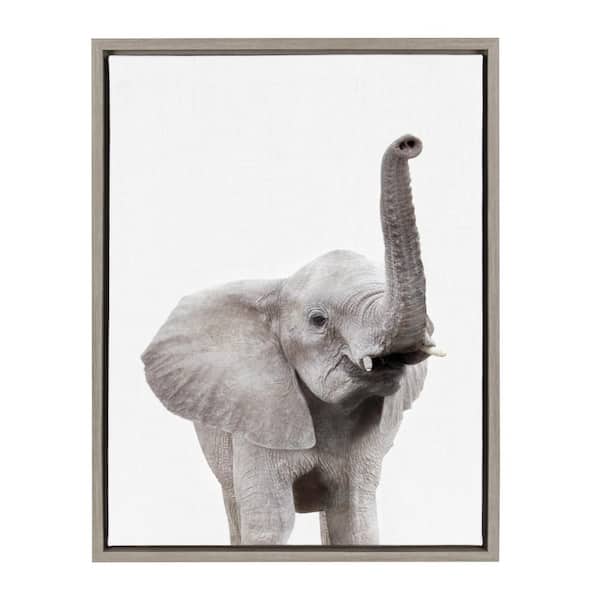 Kate and Laurel Sylvie "Animal Studio Elephant" by Amy Peterson Framed Canvas Wall Art