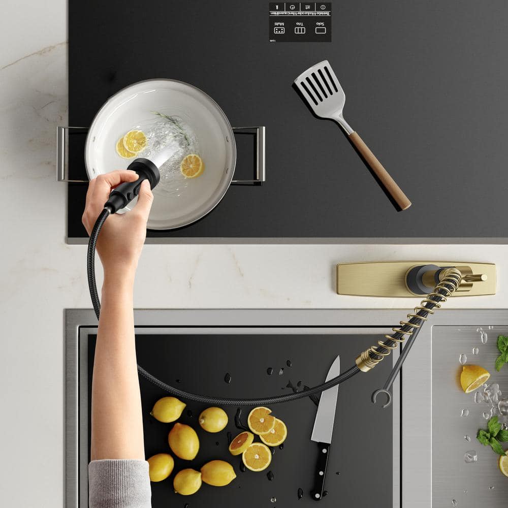 Black and Gold Stainless Steel High-Arc Kitchen Faucet with Pull-Out Spray
