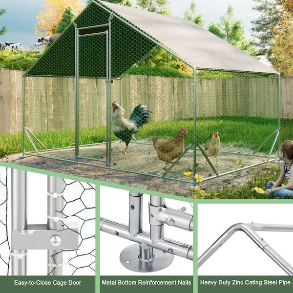 FIROMO 10' L x 6.6' W x 6.56' H, Metal Chicken Coop, Walk-In with