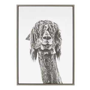 33 in. x 23 in. "Brown Alpaca" by Tai Prints Framed Canvas Wall Art