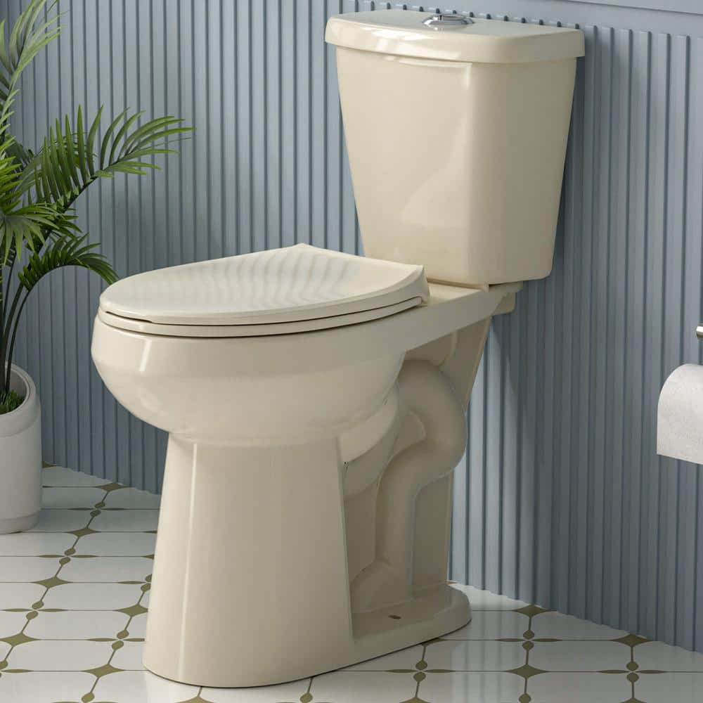 Extra Tall 21 in. 2-Piece Toilet 1.1/1.6 GPF Dual Flush Map Flush 1000 g Ro