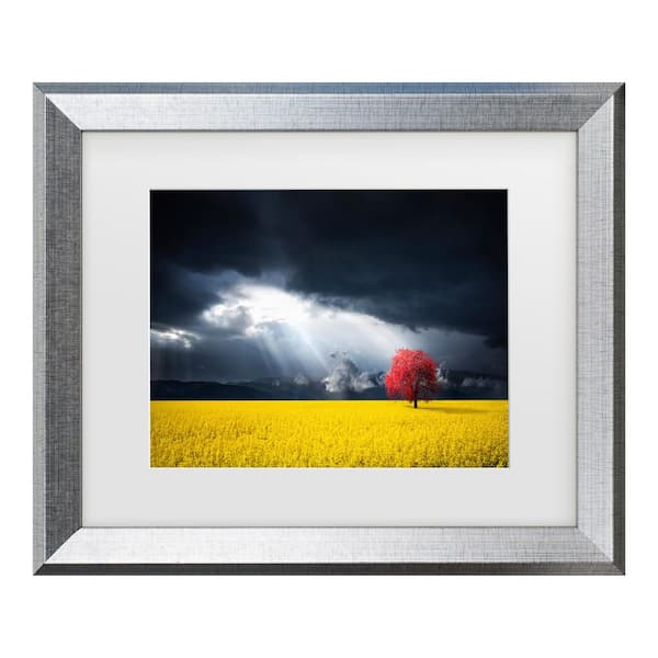 Bess Hamiti A Red Tree in the Canola Meadow Matted Framed Photography Wall Art 19.5 in. x 23.5 in