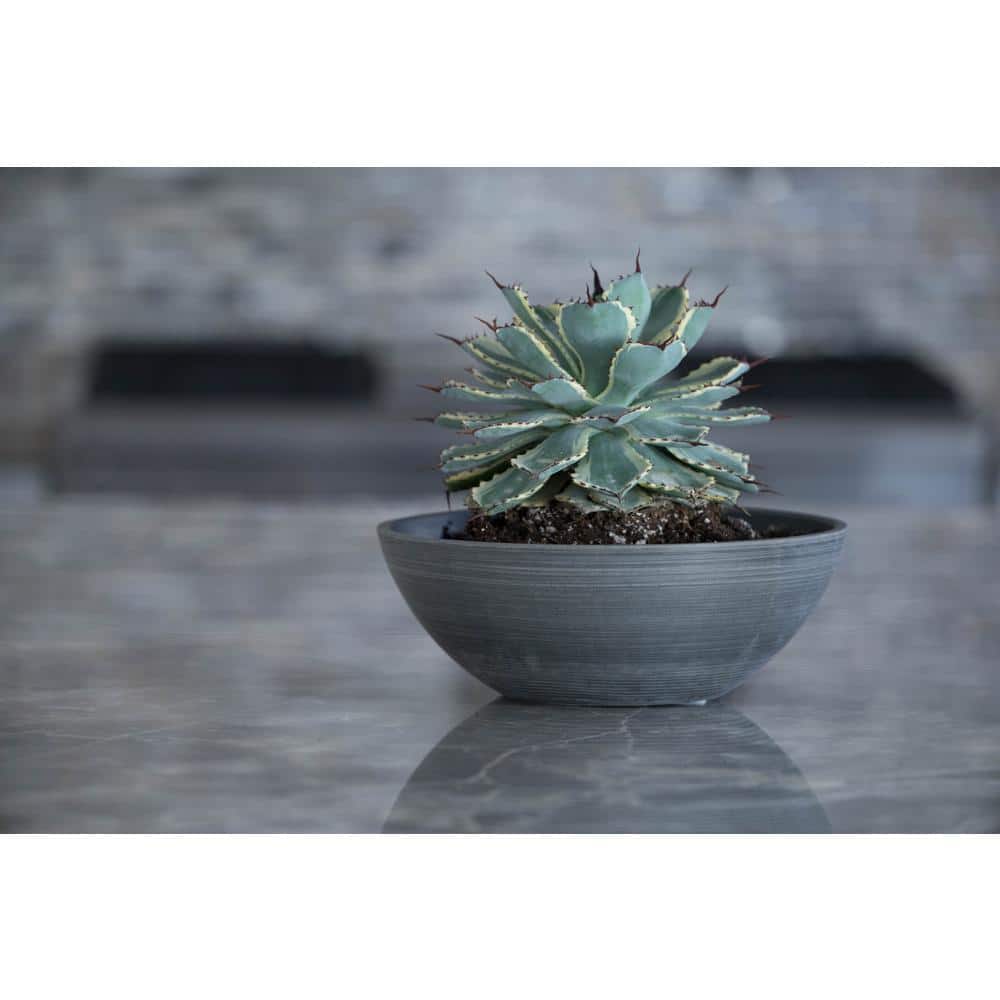 Valencia Textured Charcoal Round Planter Bowls, 12-inch, Pack of 2