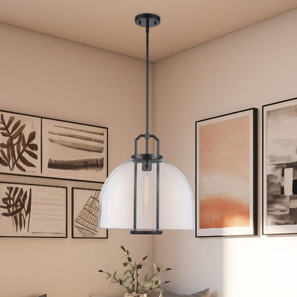 Rhapsody 16 in. 1-Light Black Pendant Light Fixture with Clear Glass Shade price history on PriceWatchPro