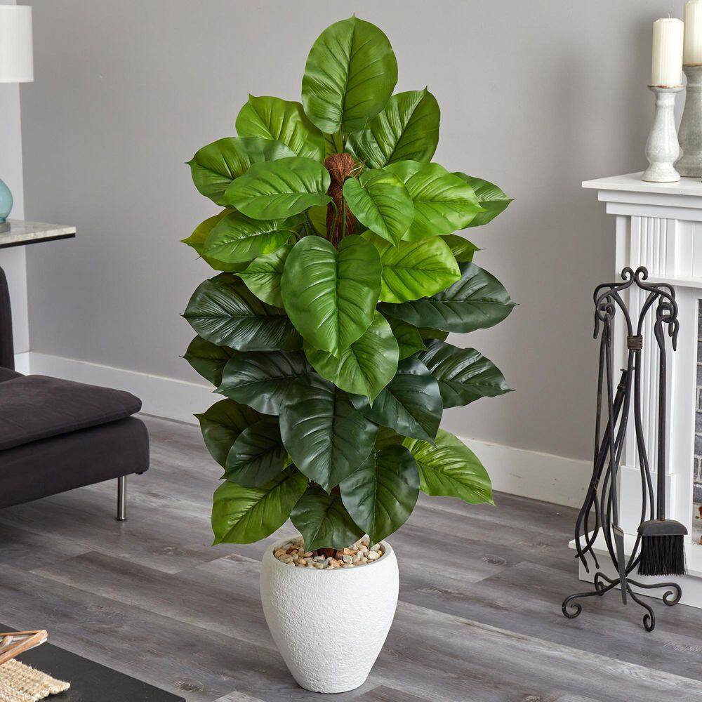 60-Inch Green Silk Philodendron with White Fiberstone Planter
