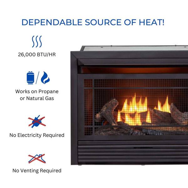 Duluth Forge Dual Fuel Ventless GasFireplace Insert - 26,000 BTU, T-Stat  Control FDF300T 170121 - The Home Depot