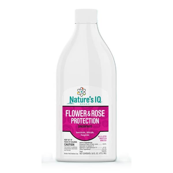 Flower and Rose Protection 16 oz. Concentrate Protect Plants From Insects and Disease Kills Listed Insects in Minutes