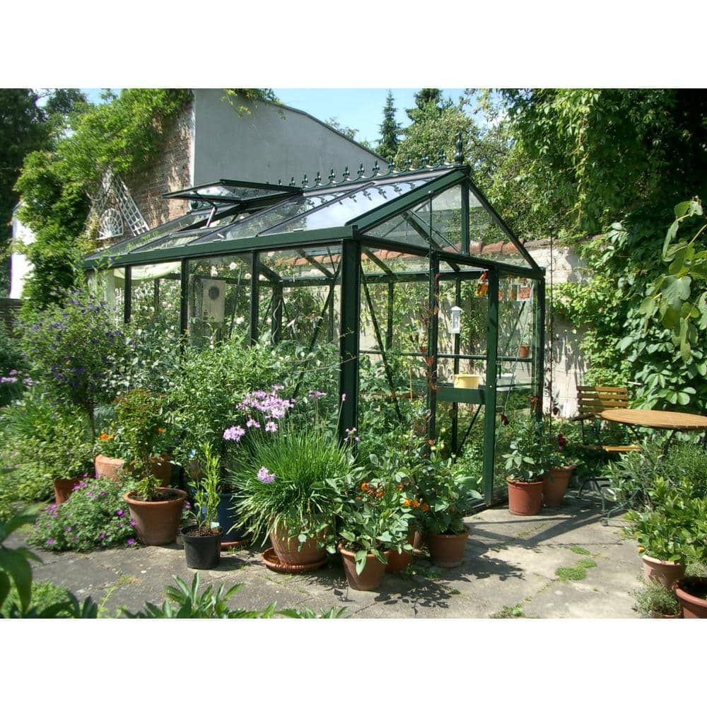 Royal Victorian 8x10 Black Aluminum and Glass Greenhouse