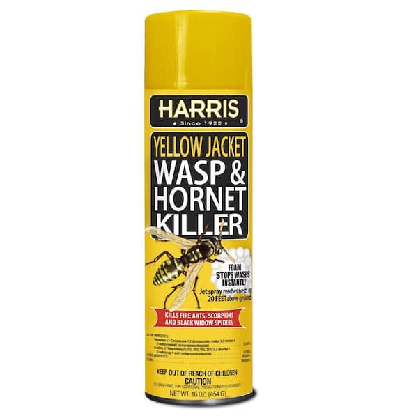 Harris 16 oz. Wasp and Yellow Jacket Killer Foam